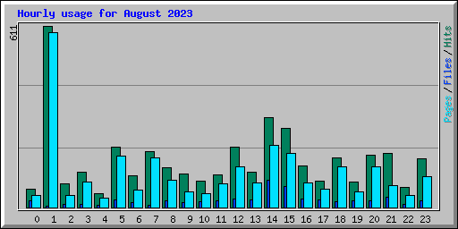 Hourly usage for August 2023