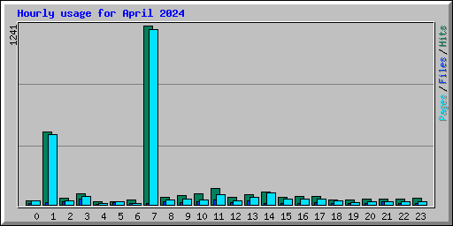 Hourly usage for April 2024
