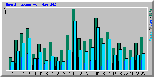 Hourly usage for May 2024