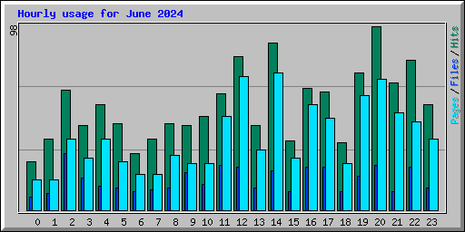 Hourly usage for June 2024