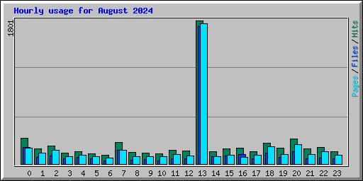 Hourly usage for August 2024