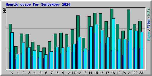 Hourly usage for September 2024