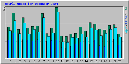 Hourly usage for December 2024